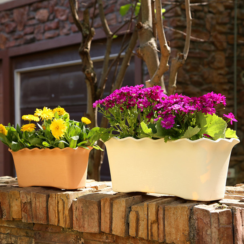 郁金香塑料花盆长方形树脂花盆室外阳台花槽太阳花长条家用盆景盆