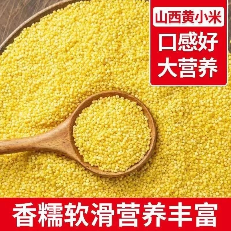 小米新米农家月子米黄小米5斤五谷杂粮批发煮小米粥小黄米优质