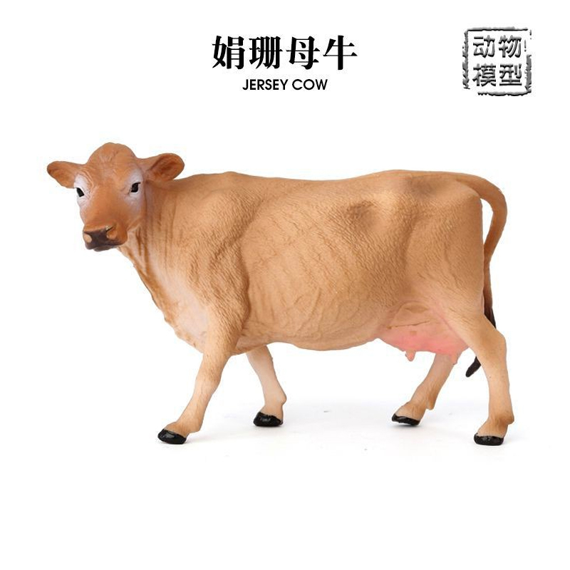 娟姗母牛奶牛模型英国珍贵牛种仿真动物实心农场儿童玩具启蒙摆件