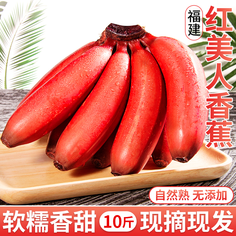福建红美人香蕉10斤新鲜水果当季现摘正宗小香焦红皮芭蕉米蕉包邮