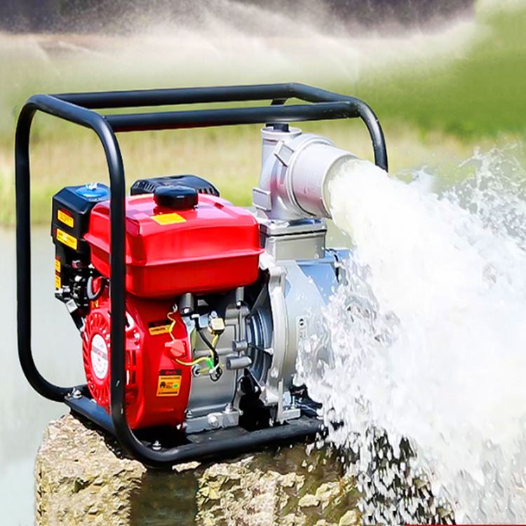 新款便携式家用柴油抽水泵 园林农田喷灌浇水自吸泵 框架式抽水机