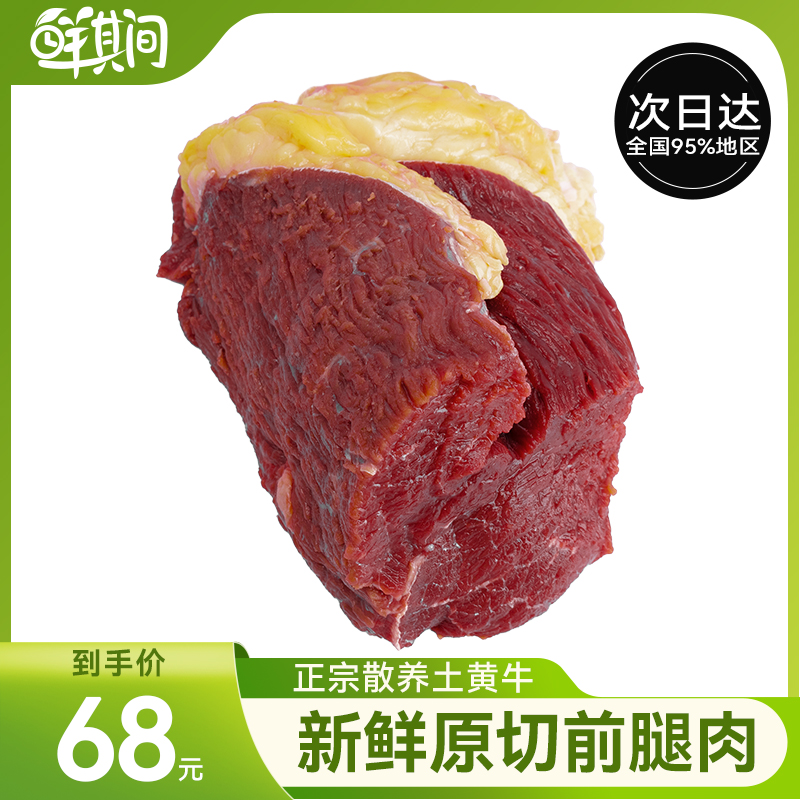 正宗土黄牛前腿肉新鲜原切黄膘生牛肉整块牛腿肉肥瘦适中冷冻商用