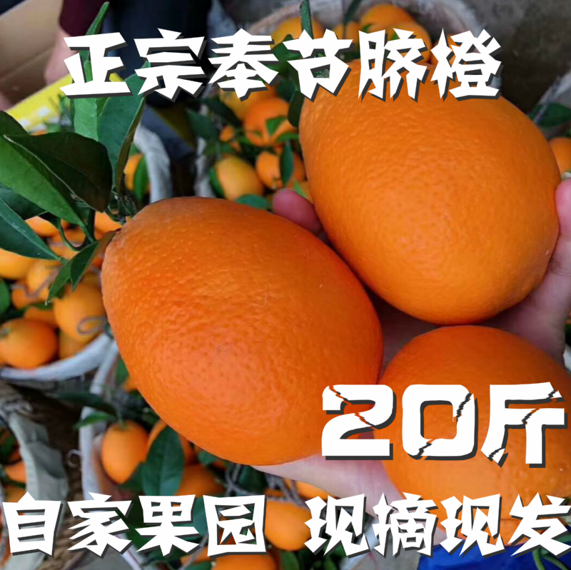 正宗重庆橙子奉节脐橙纽荷尔广柑新鲜20斤包邮特产孕妇当季水果甜