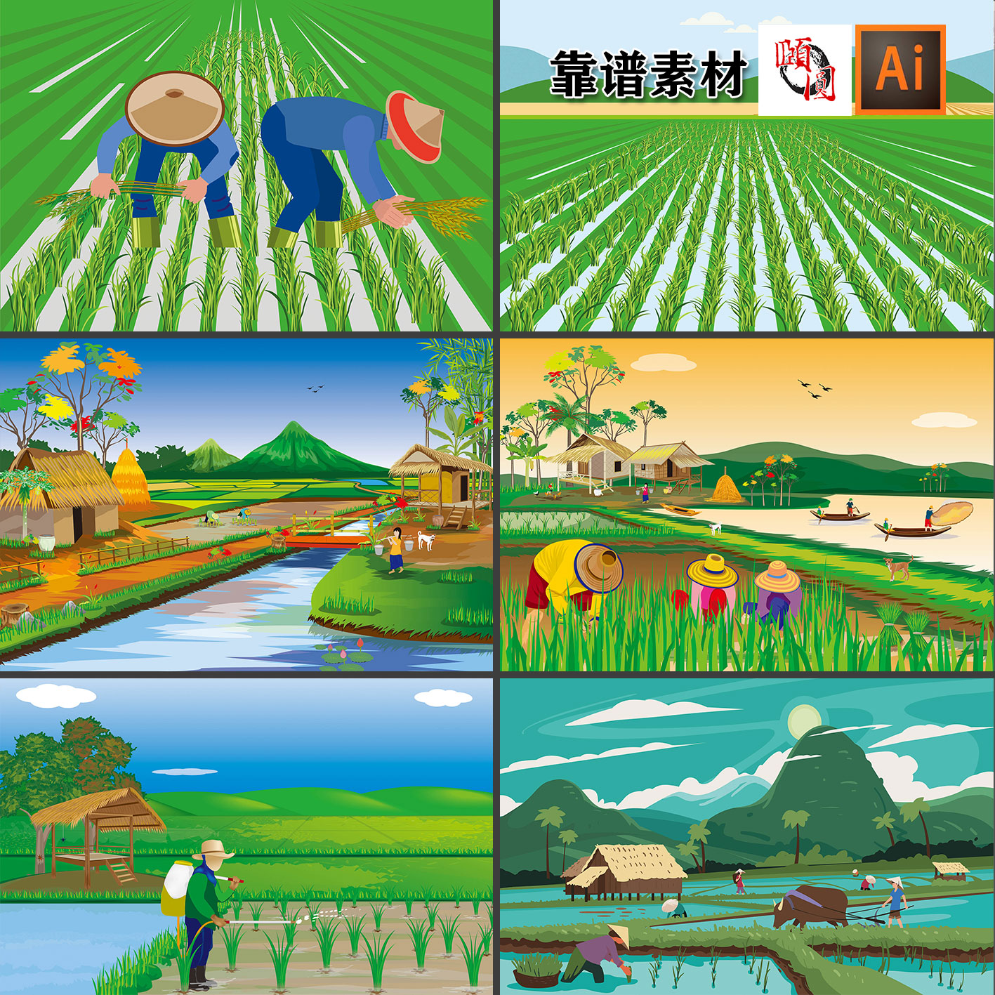 风景稻田