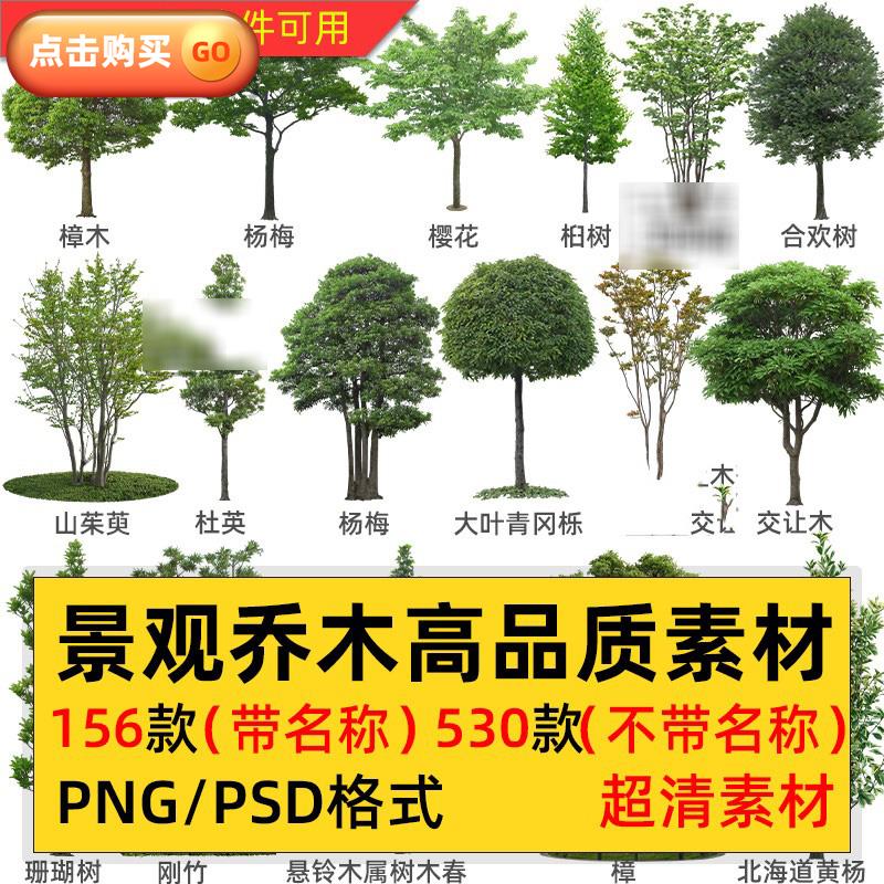 园林景观乔木树木大树植物PNG免抠PS后期效果图PSD带名称绿植素材