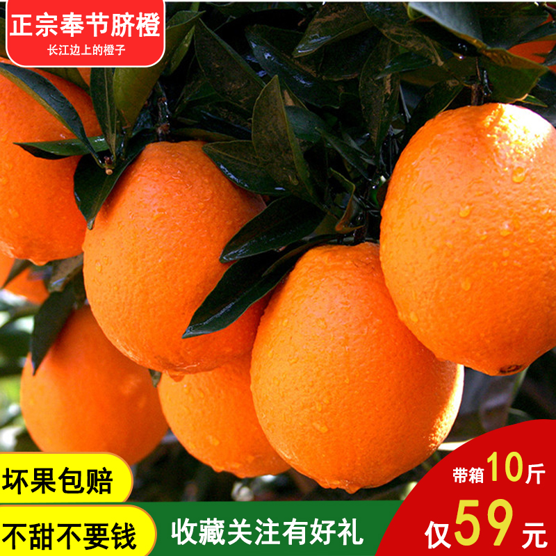 奉节脐橙现摘橙子新鲜当季生态水果柑子带箱广柑10斤自家果园