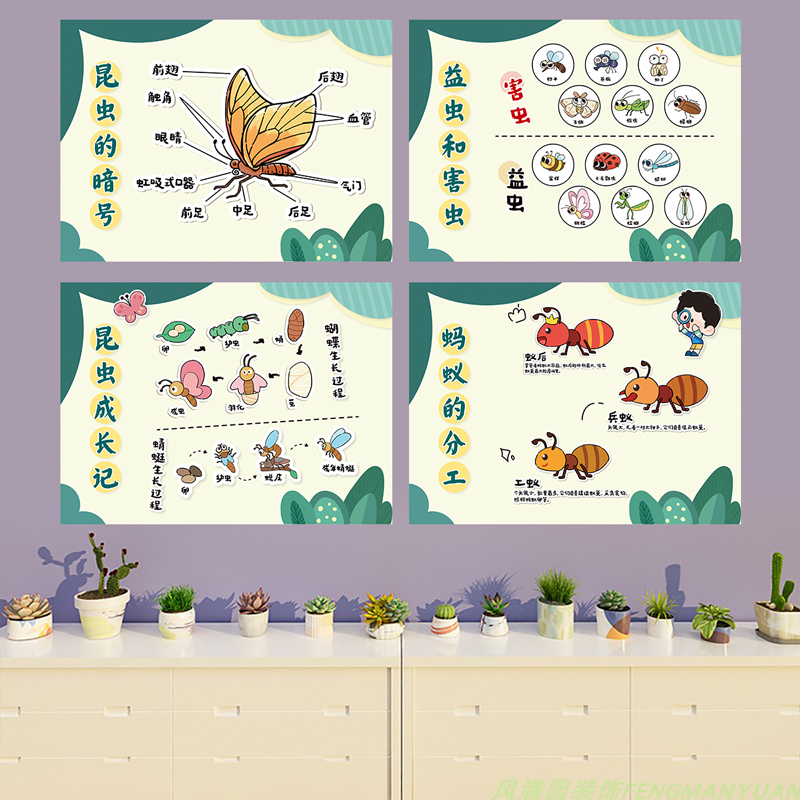 幼儿园植物角种植区昆虫蝴蝶主题环创种子开花动物生长结构墙贴纸