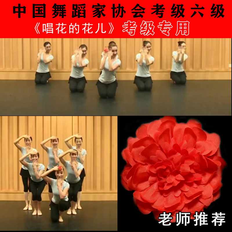 中国舞蹈家协会六级唱花儿的花儿儿童民族民间舞蹈考级道具手指花