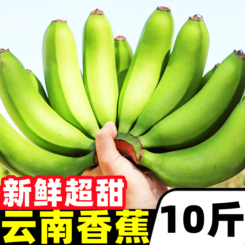 云南高山甜香蕉10斤新鲜水果应季自然熟绿皮香蕉芭蕉米蕉叶小米蕉