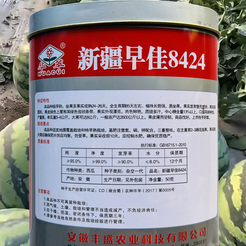 新疆早佳8424西瓜种子籽高产早熟大西瓜籽农家四季新品种西瓜种子
