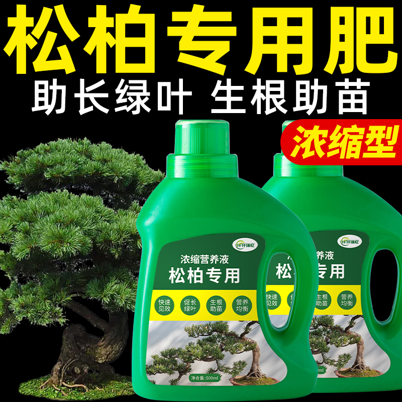 松树专用肥松柏肥料罗汉松营养液迎客松绿植盆栽盆景植物复合园艺