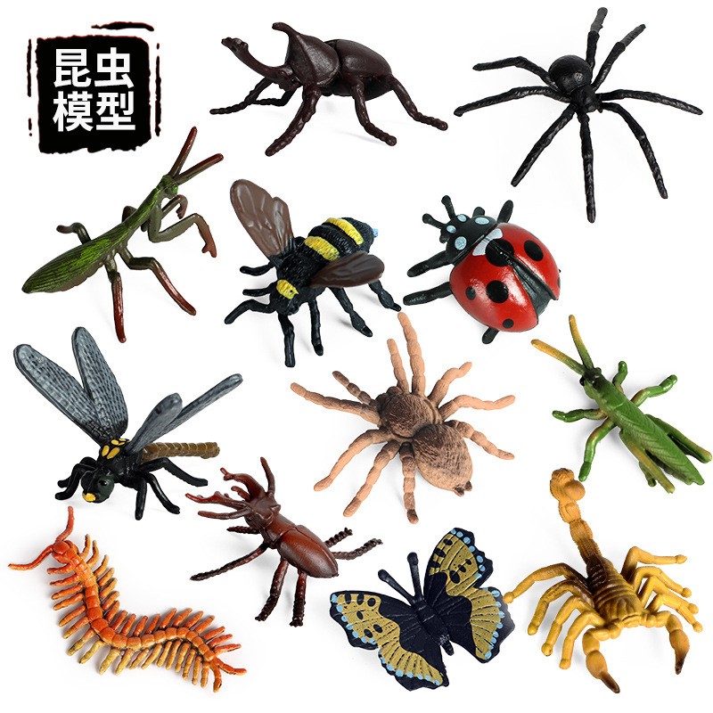 儿童仿真野生昆虫动物模型迷你蝴蝶蜜蜂蜘蛛螳螂蝎子蜈蚣蜻蜓玩具