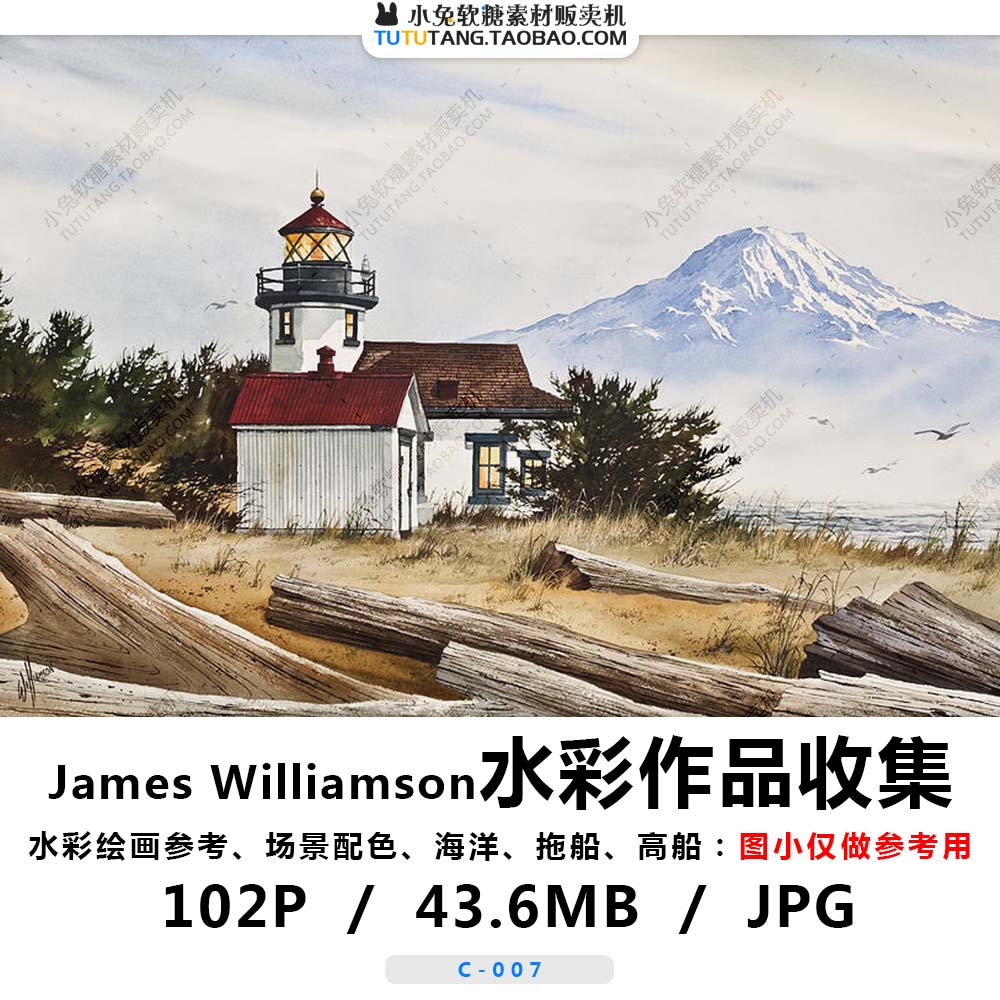 水彩绘画参考 帆船高船 宁静小镇 James Williamson作品 墨水自然
