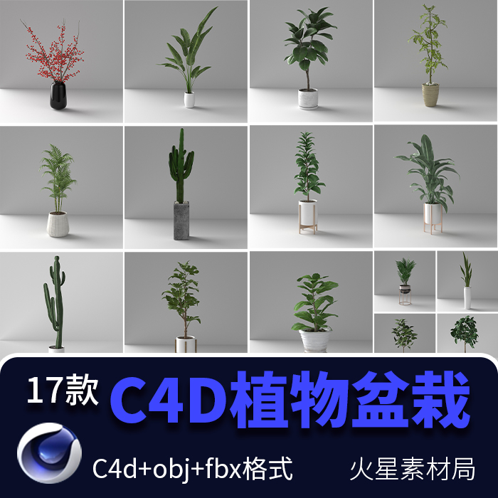 C4D室内植物花卉盆栽模型oc渲染带材质贴图 c4d/obj/fbx格式素材