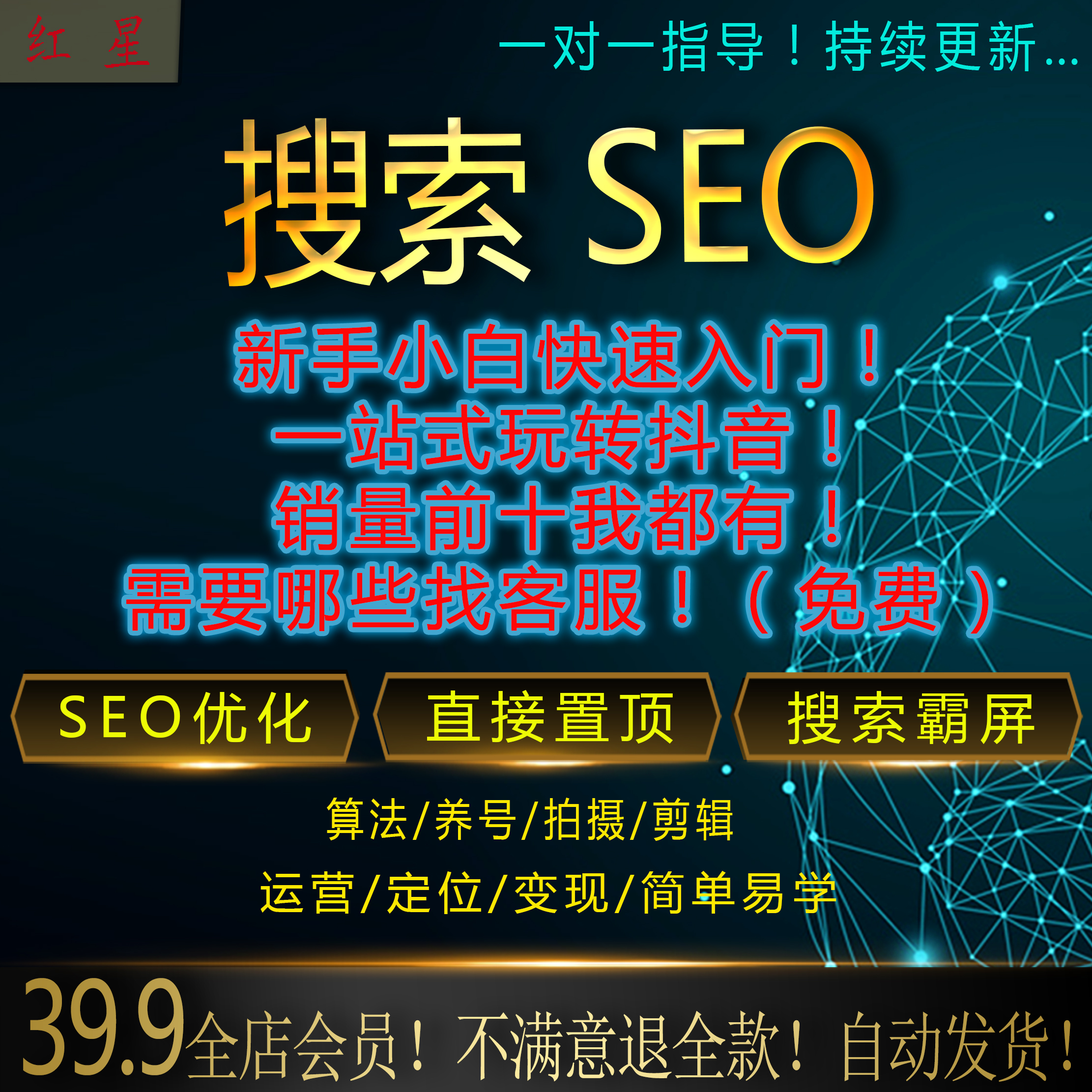 抖音seo排名搜索优化排名推广霸屏上首页运营教程课程精准获客