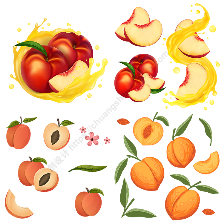 手绘水蜜桃插画 成熟水果桃子桃核切面图标 AI格式矢量设计素材