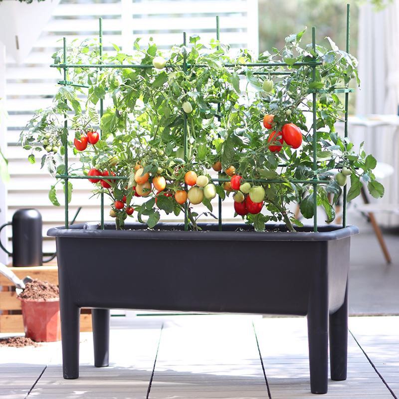 海蒂的花园塑料花盆种菜专用箱高脚抗菌简约耐用花槽种植盆种菜盆