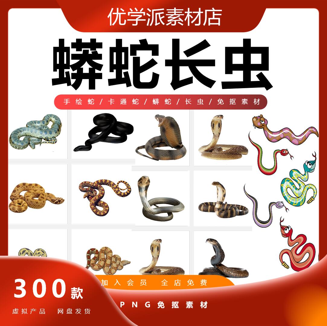 手绘蛇/卡通蛇/蟒蛇/长虫/眼镜蛇爬行动物小龙设计png免抠素材