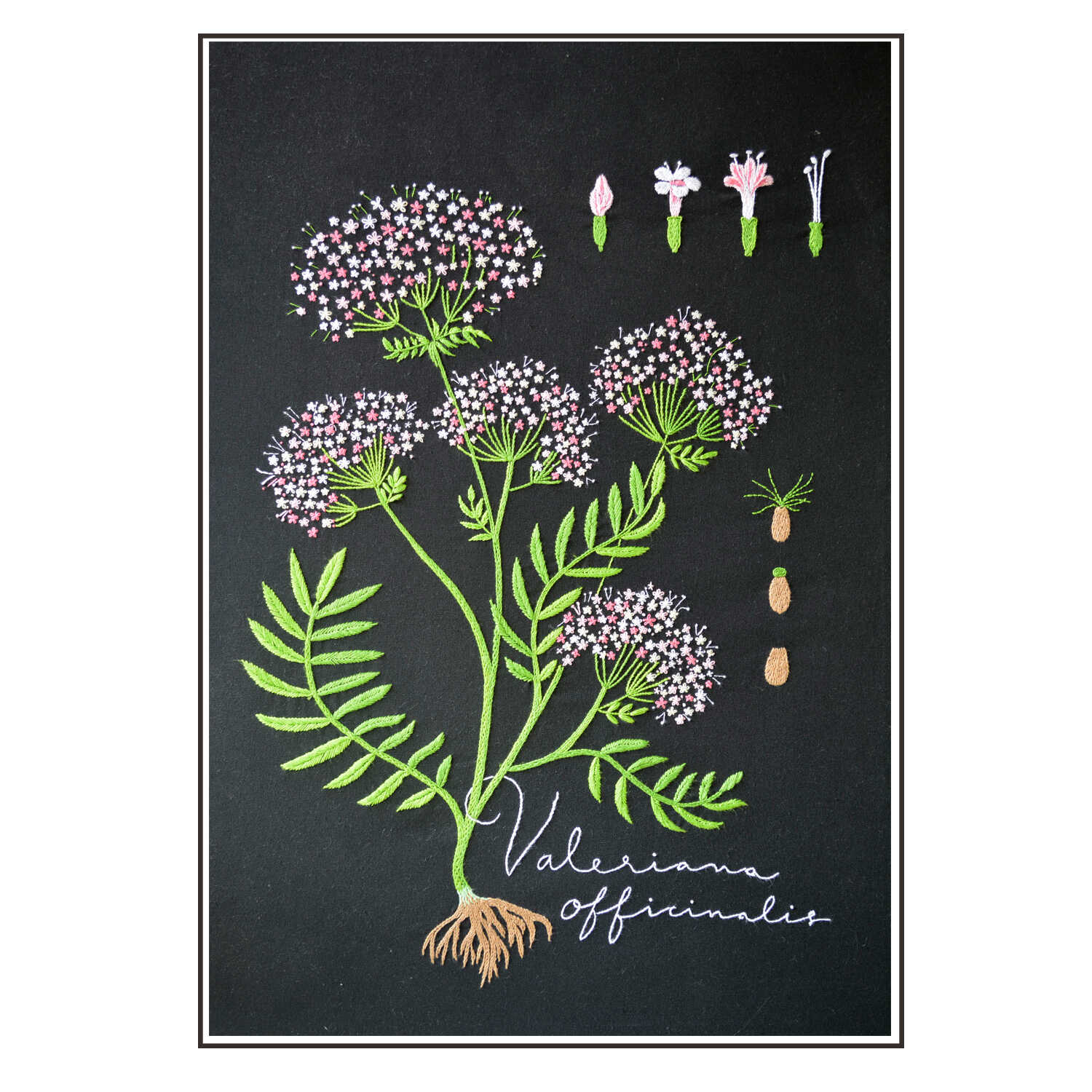 植物标本画缬草手工DIY布艺欧式刺绣材料包创意花草INS风绣花套件