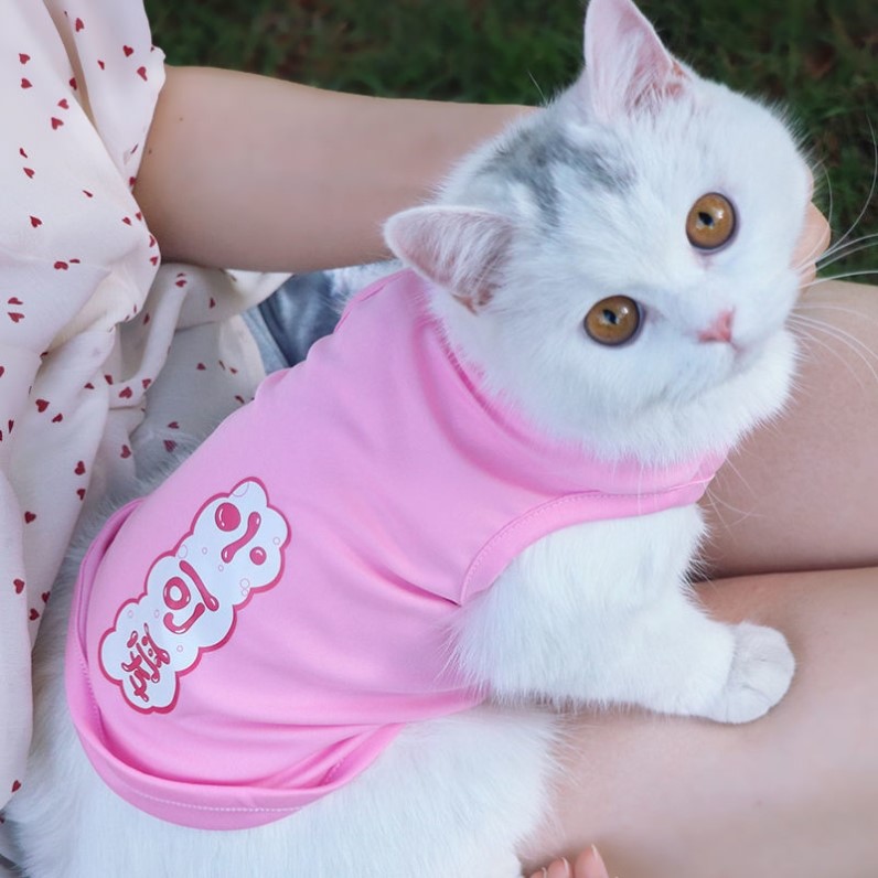 猫咪防掉毛衣服薄款夏季公主穿的芭比猫小英美短猫两个月夏天幼猫