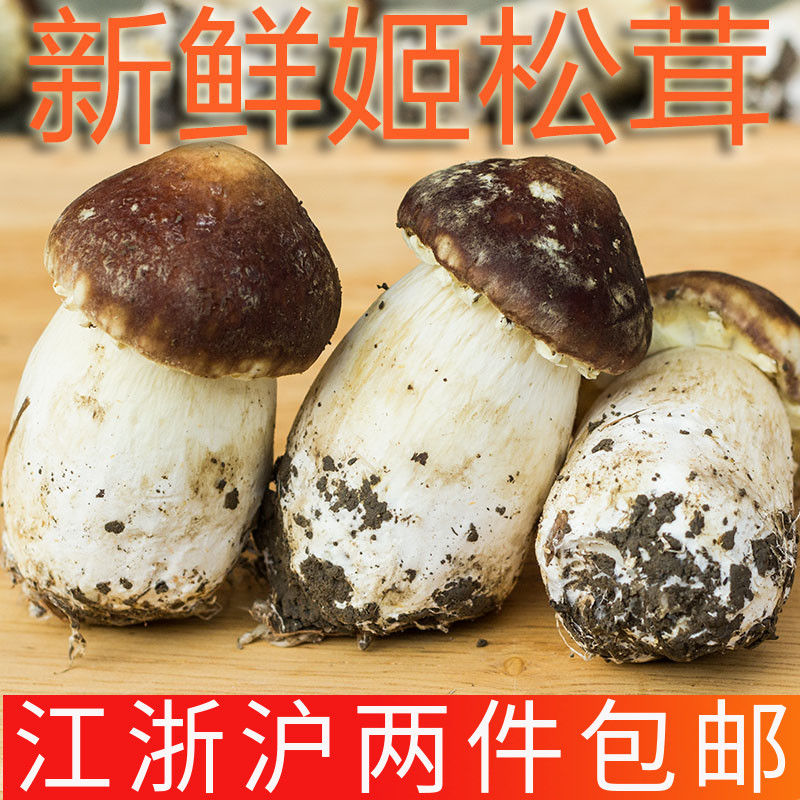 新鲜食用菌姬松茸500g 巴西菇蘑菇赤松茸炒菜烧汤 江浙沪两件包邮