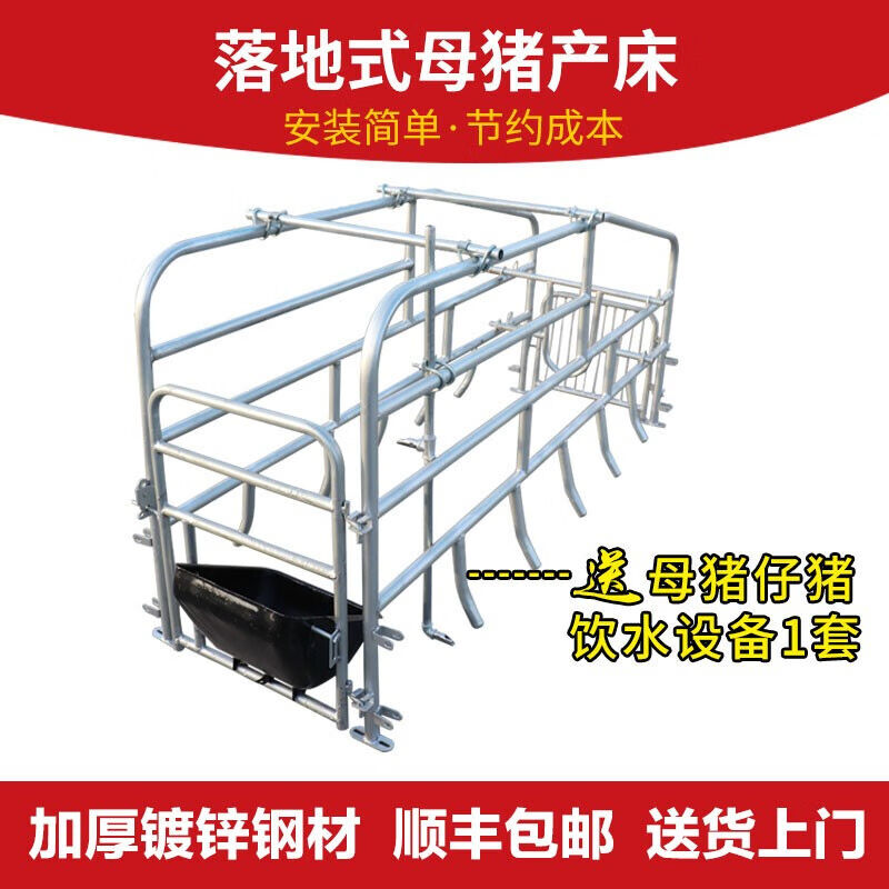 厂落地式母猪产床定位栏限位栏简易产床单个猪位一个栏位养猪设新