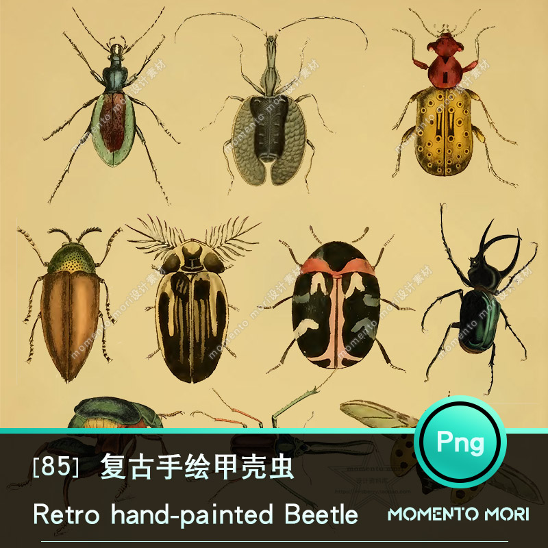 复古手绘甲壳虫儿童绘本插画动物昆虫透明图层免抠图PNG设计素材
