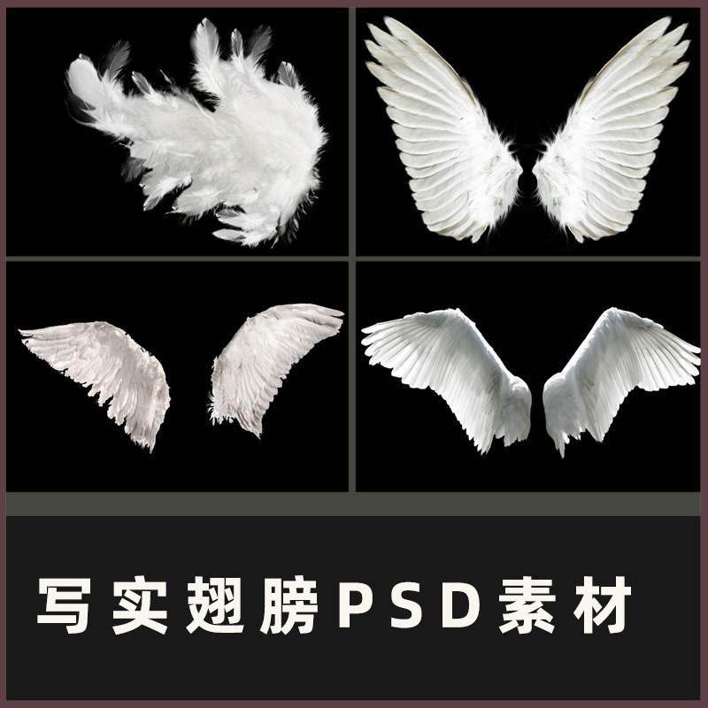 天使翅膀唯美白色羽毛真实感羽翼PSD影楼写真装饰PNG免抠图素材