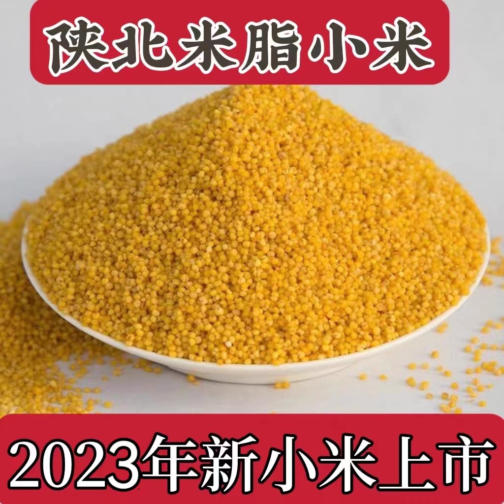 2023年陕北小米米脂小米新米农家小米粥月子米特产香谷米 5斤包邮