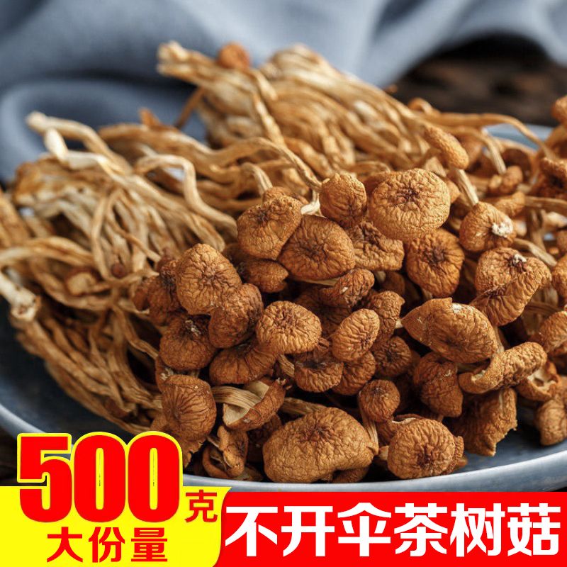 新货精选茶树菇干货500g特产不开伞嫩茶树菇盖嫩蘑菇金针菇炖鸡菇