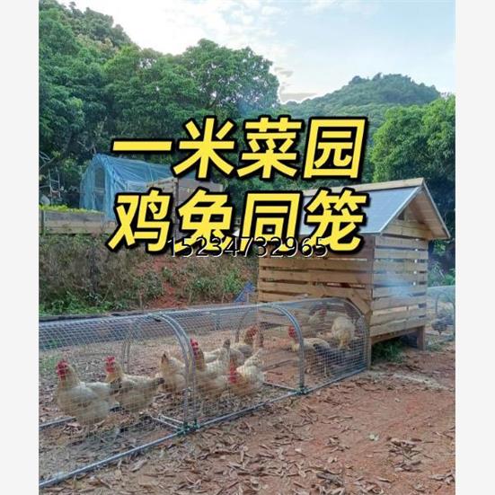 新疆西藏包邮室外养鸡跑道散养鸡子隧道专用散棚鸡笼溜达走地养鸡