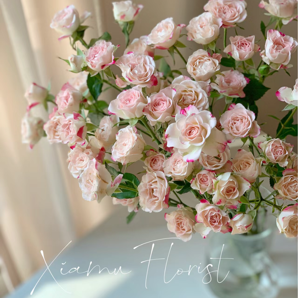 粉色多头折射玫瑰鲜花云南基地直发鲜切花束家用求婚真花水养顺丰