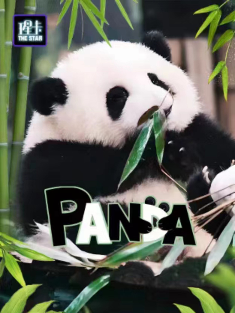 Panda 熊猫瑆卡工作室集换式收藏卡片盲盒卡牌摇摇乐卡国风熊猫卡