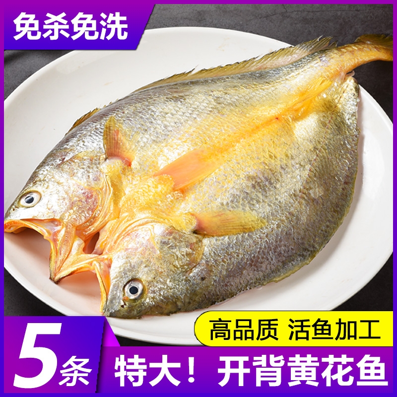 黄鱼鲞新鲜冷冻大黄鱼黄花鱼三去生鲜宁德小黄鱼鲜活海鲜海鱼水产