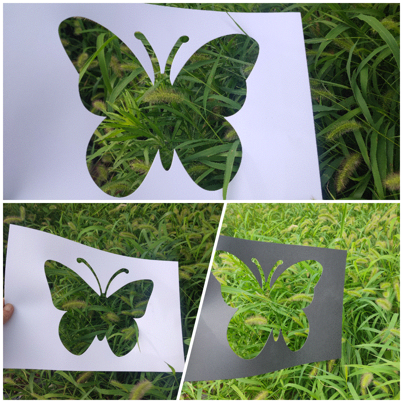 白色黑色硬卡纸蝴蝶造型形状镂空袋鼠动物拓印大蝴蝶绵羊绘画