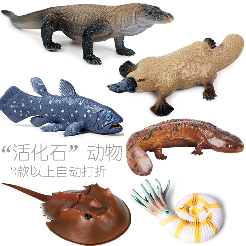 活化石动物模型仿真鹦鹉螺科莫多巨蜥鸭嘴兽矛尾鱼中华鲎娃娃鱼
