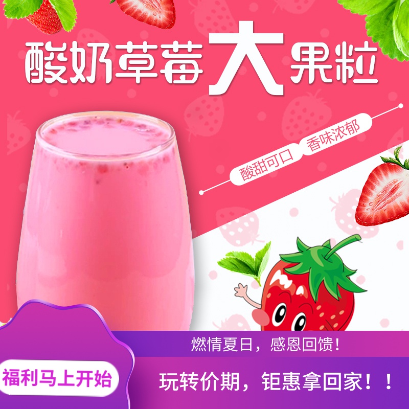 商用草莓大果粒手摇酸奶椰奶粉泡着喝牛奶果肉果汁秋冬季热饮黄桃
