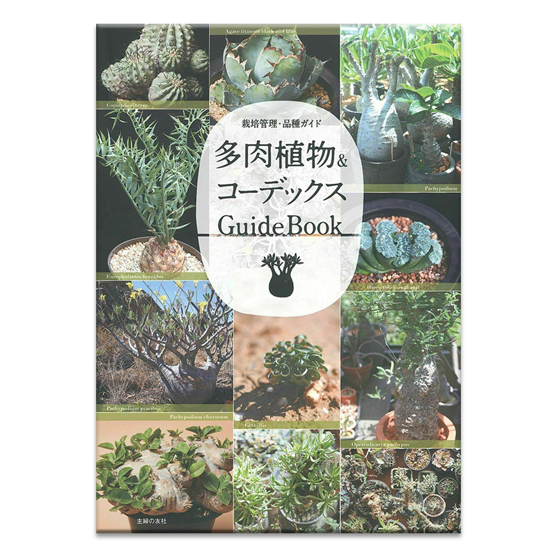 现货 多肉植物&コーデックス GuideBook 日本多款盆栽多肉种植法和珍稀品种图鉴百科全书