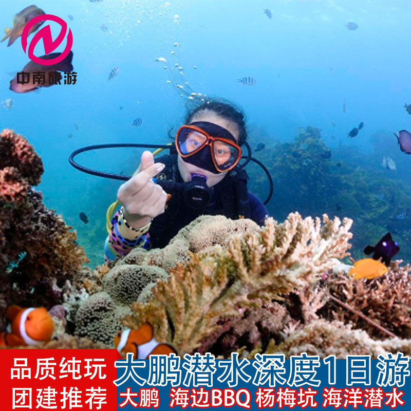深圳大鹏古城深潜海洋潜水杨梅坑纯玩一日游