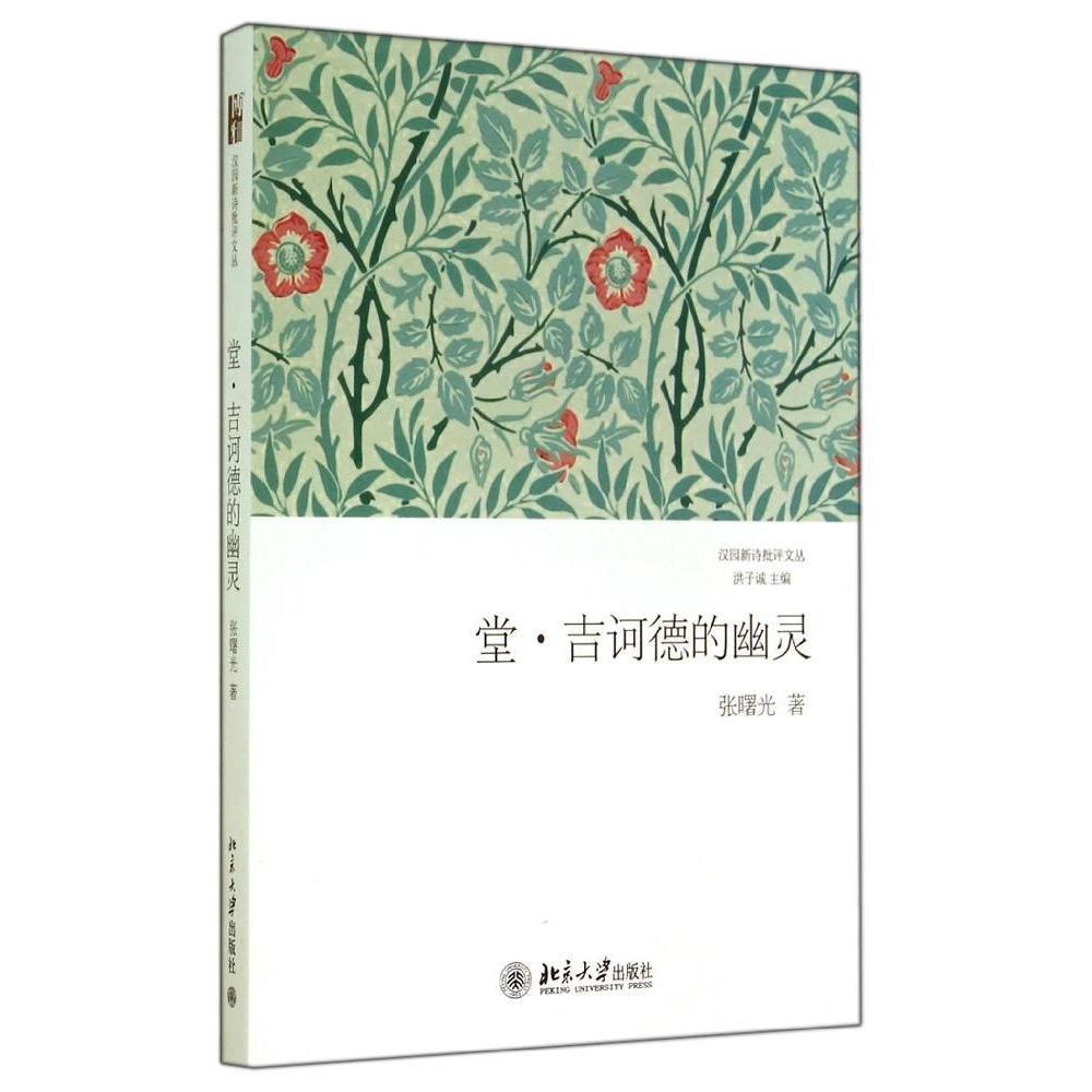 正版书籍 堂·吉诃德的幽灵 张曙光北京大学出版社9787301241691
