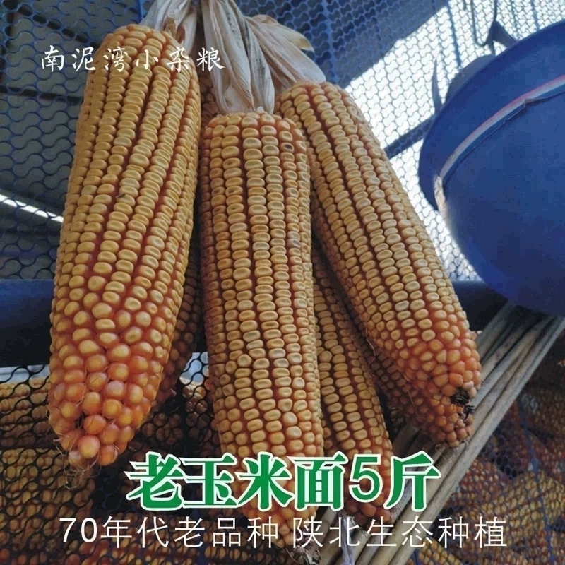 粗玉米面粉5斤 含胚芽胚乳麸皮石磨现磨生70年代老品种陕北农家新