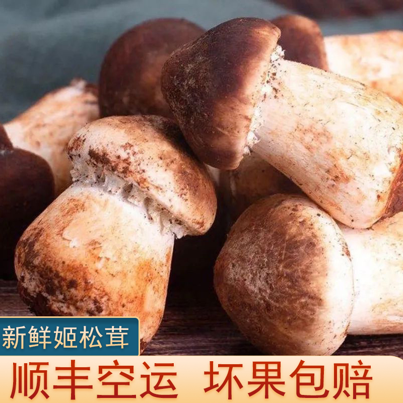 新鲜姬松茸500g食用菌巴西蘑菇食用菌火锅烧烤食材菌菇顺丰包邮