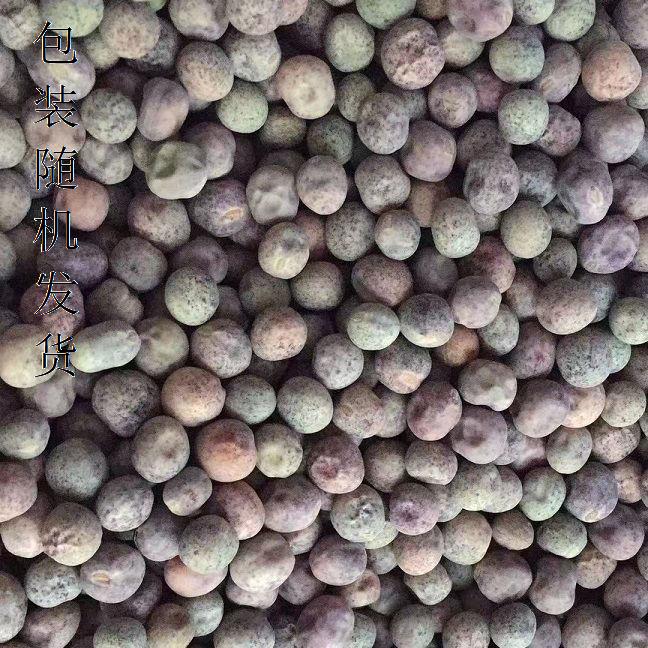麻豌豆苗种蔬菜豌豆种籽尖芽苗菜种子种籽四季种植孑碗豆种碗豆苗