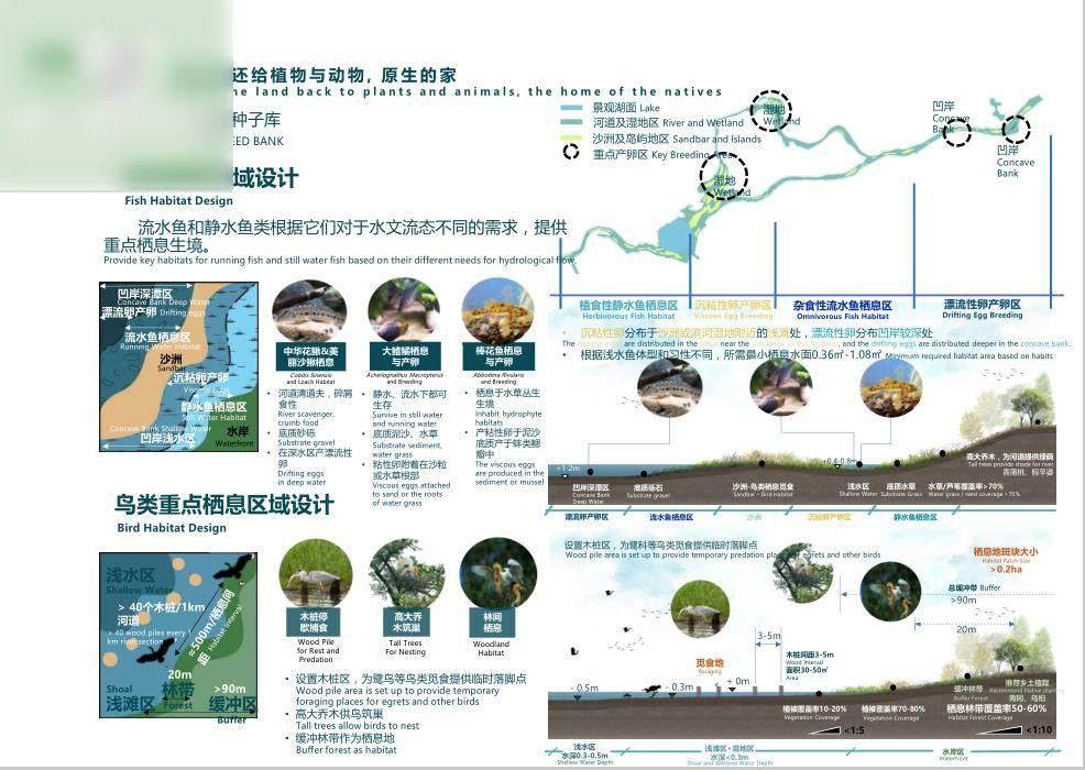 2022Aecom碧道滨水公园滨河河道湿地生态修复景观设计文本175页
