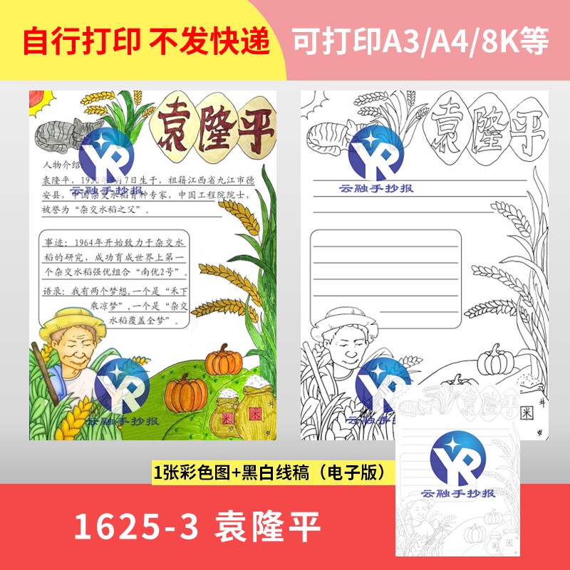 1625-3 农业名人袁隆平人物卡片竖向手抄报电子版竖向