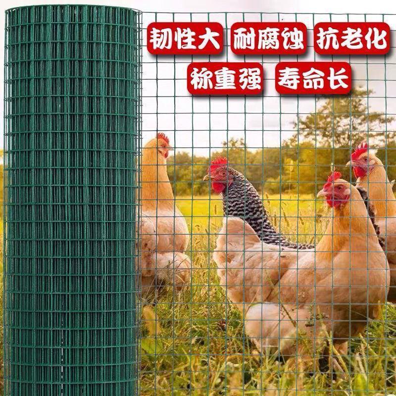 铁栏栅铁网子围栏铁网格网绿色铁丝密网养殖场鸡舍户外养鸡护栏网