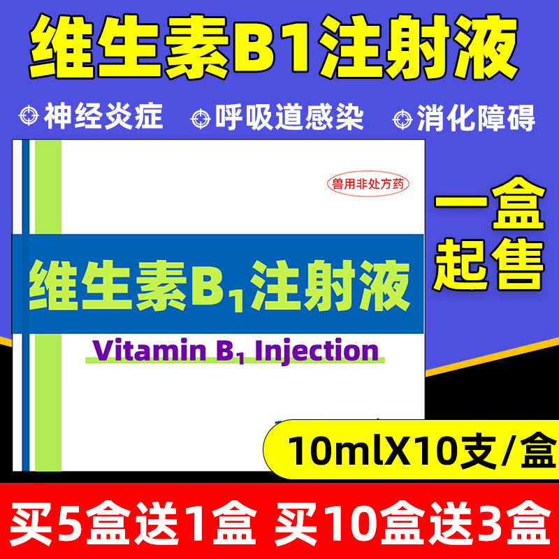 兽用维生素B1注射液兽药神经炎牛羊猪马猫狗开胃消食通便vb1针剂