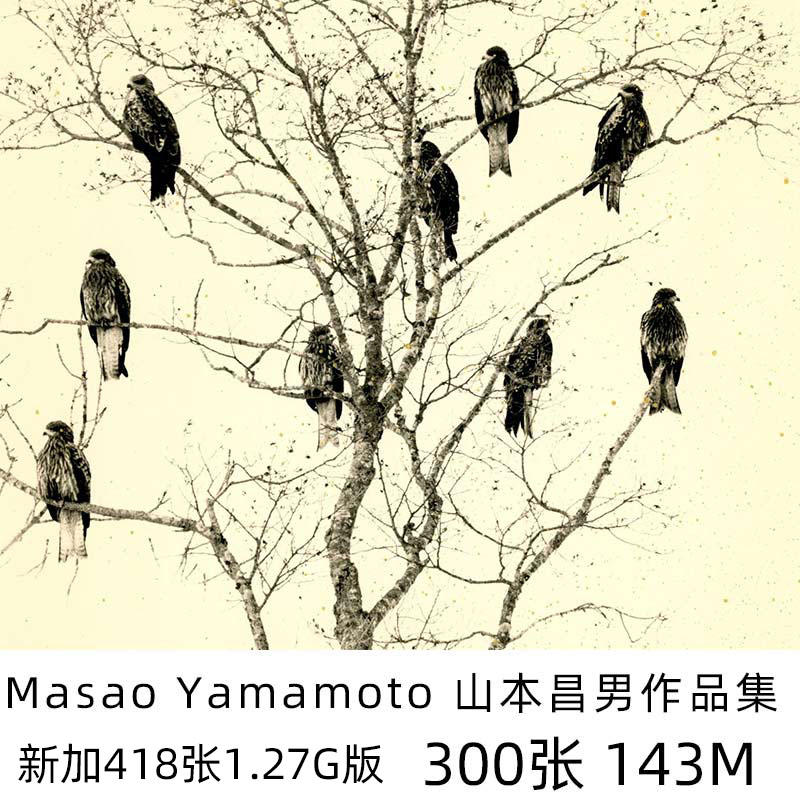 Masao Yamamoto 山本昌男 日本摄影师作品图片素材合集
