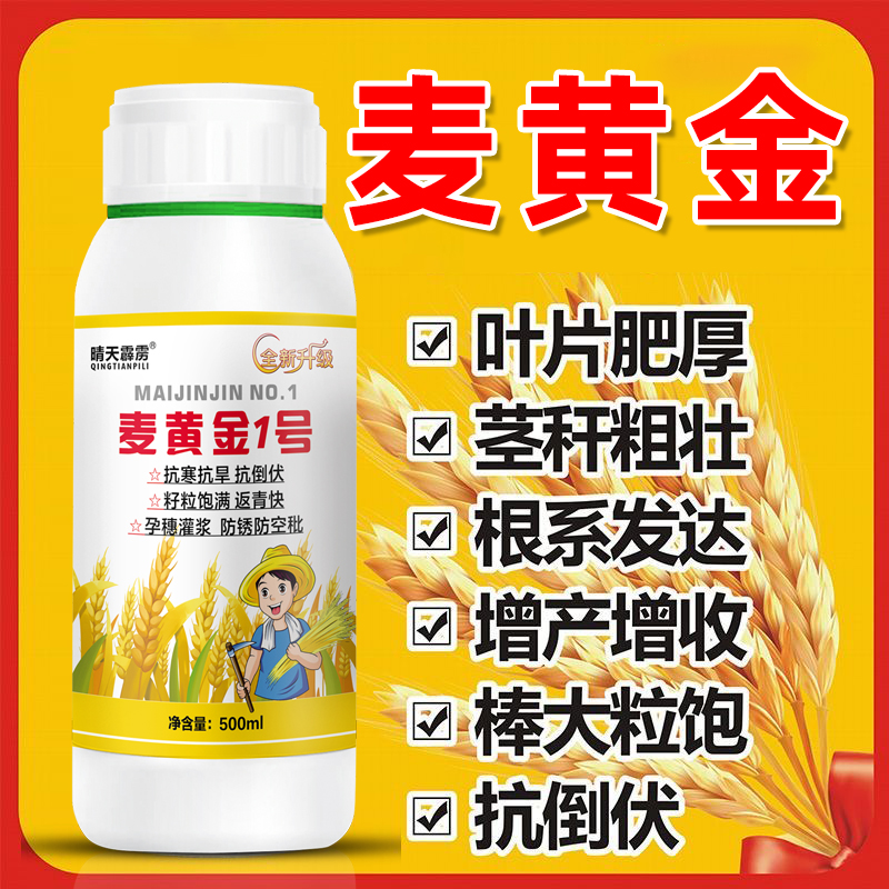 小麦专用药增产产量小麦多收返青分蘖灌浆肥水溶肥叶吗麦黄金药液
