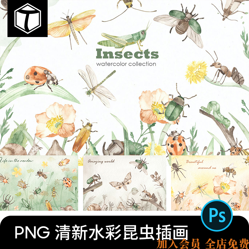 小清新水彩手绘昆虫插画插图装饰画图案PNG图片PS设计素材元素PSD